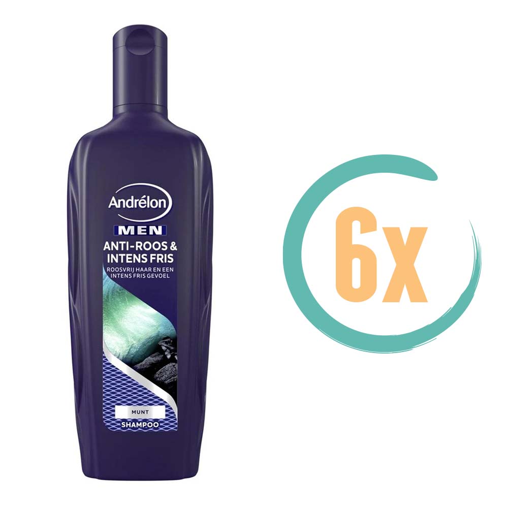 6x Andrelon Men Anti Roos & Intens Fris Shampoo 300ml
