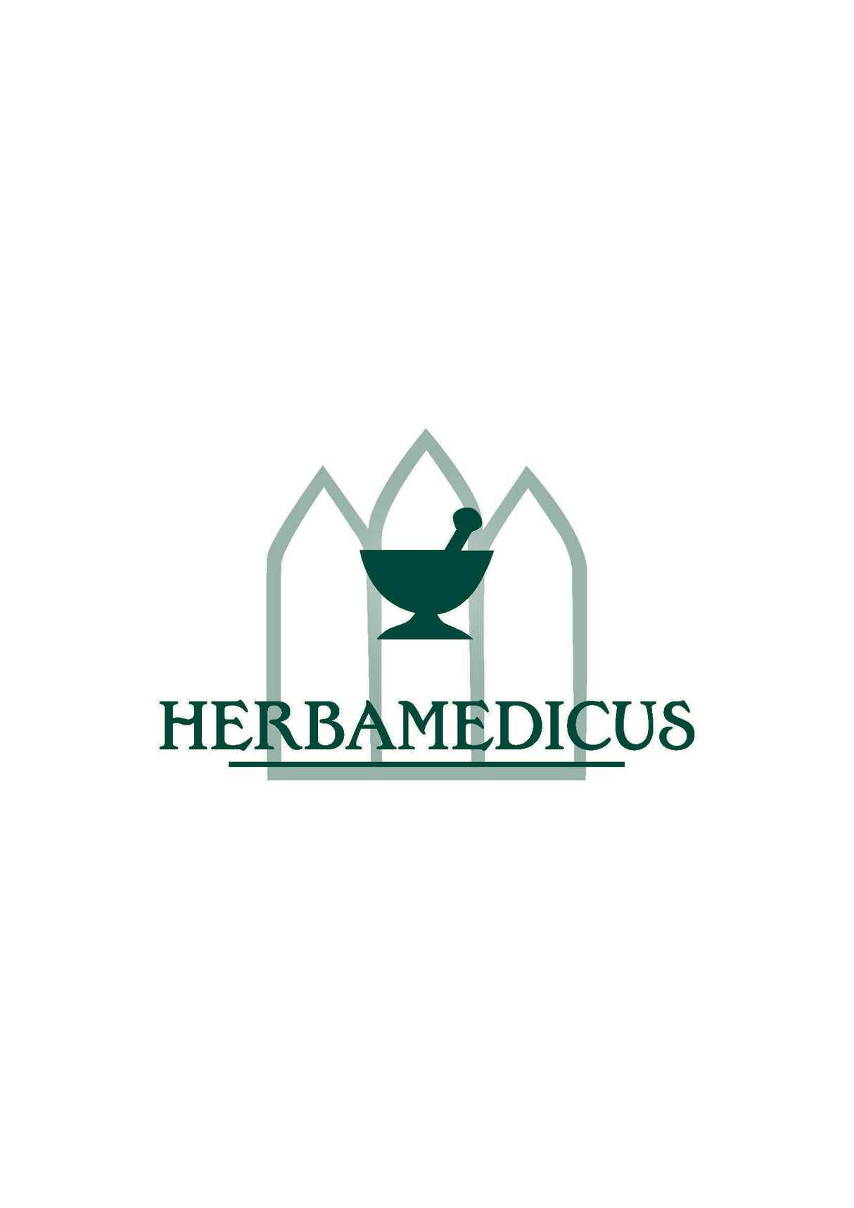 Herbamedicus Vegan Badzout Duivelsklauw 575gr